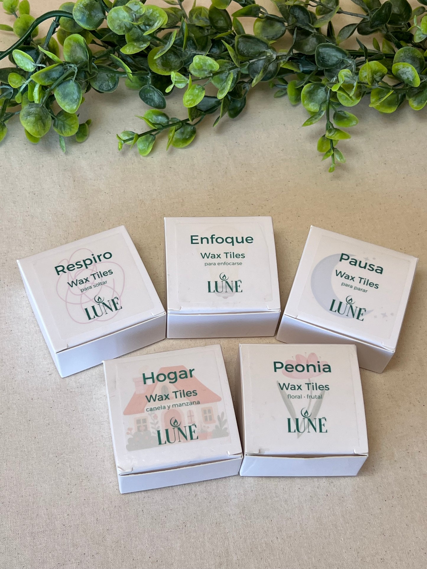 Wax Melts Artesanales con Ilustraciones · Caja de 10 · Luné