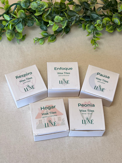 Wax Melts Artesanales con Ilustraciones · Caja de 10 · Luné