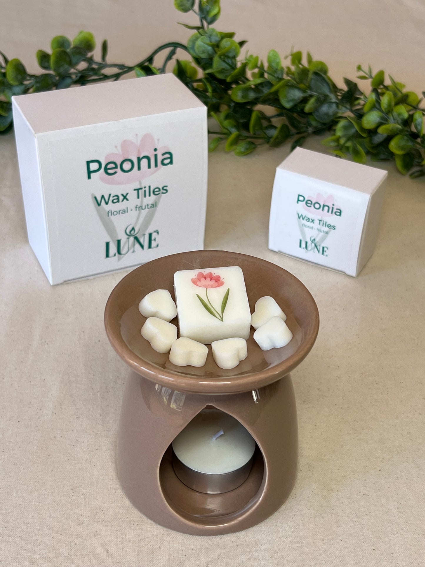 Wax Melts Artesanales con Ilustraciones · Caja de 10 · Luné