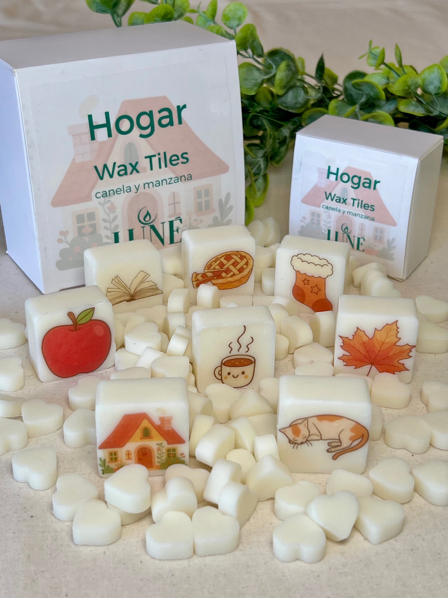Wax Melts Artesanales con Ilustraciones · Caja de 10 · Luné