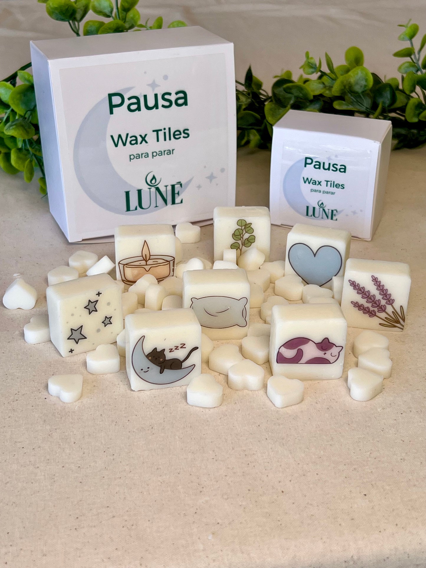 Wax Melts Artesanales con Ilustraciones · Caja de 10 · Luné