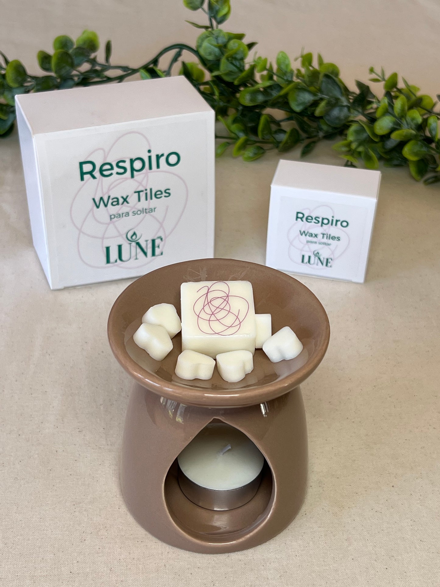 Wax Melts Artesanales con Ilustraciones · Caja de 10 · Luné