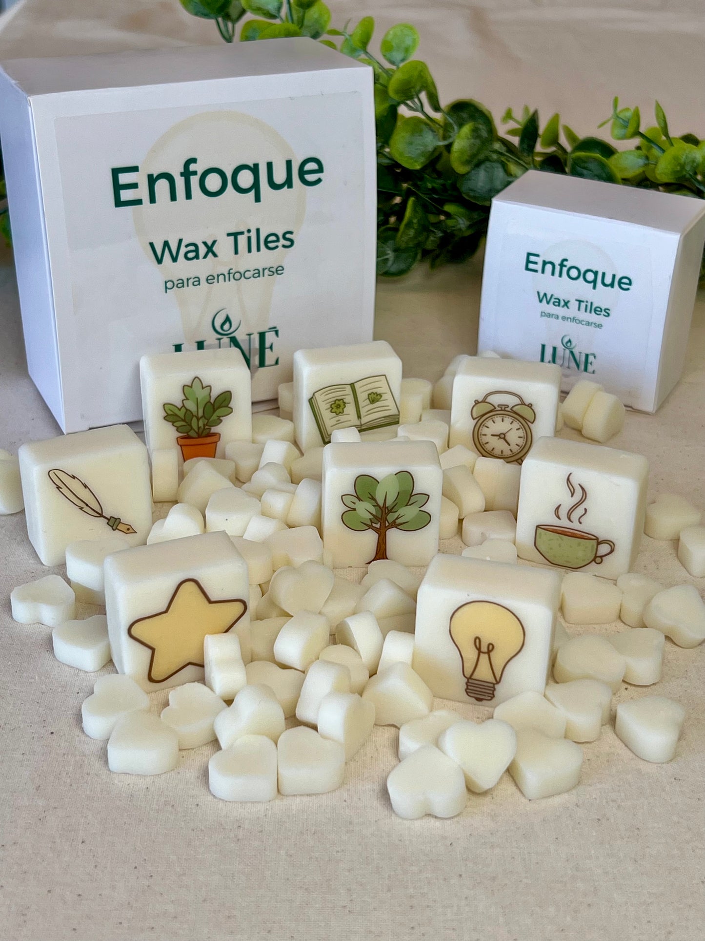 Wax Melts Artesanales con Ilustraciones · Caja de 10 · Luné