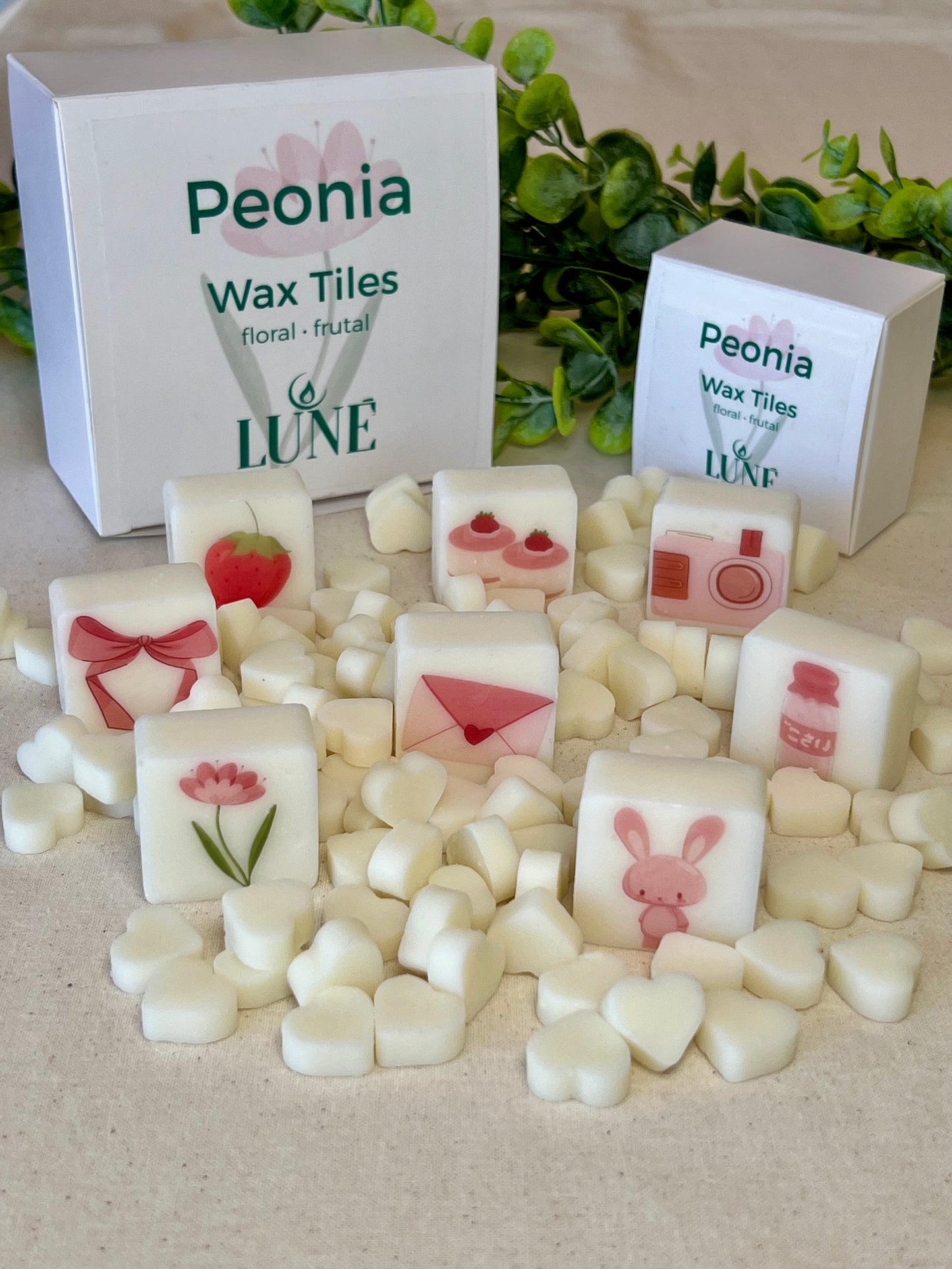Wax Melts Artesanales con Ilustraciones · Caja de 10 · Luné