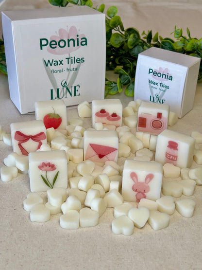Wax Melts Artesanales con Ilustraciones · Caja de 10 · Luné