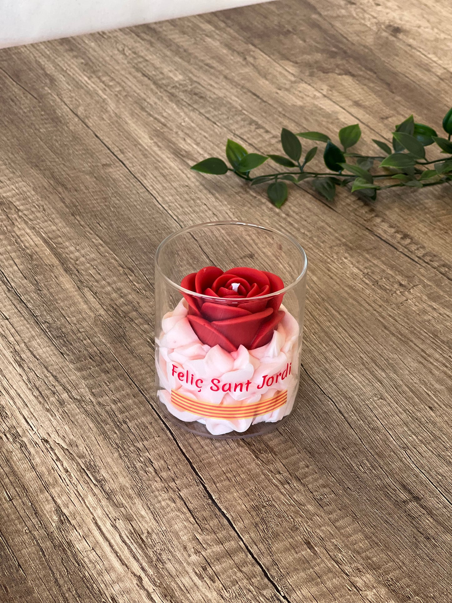 Magia Sant Jordi Grande