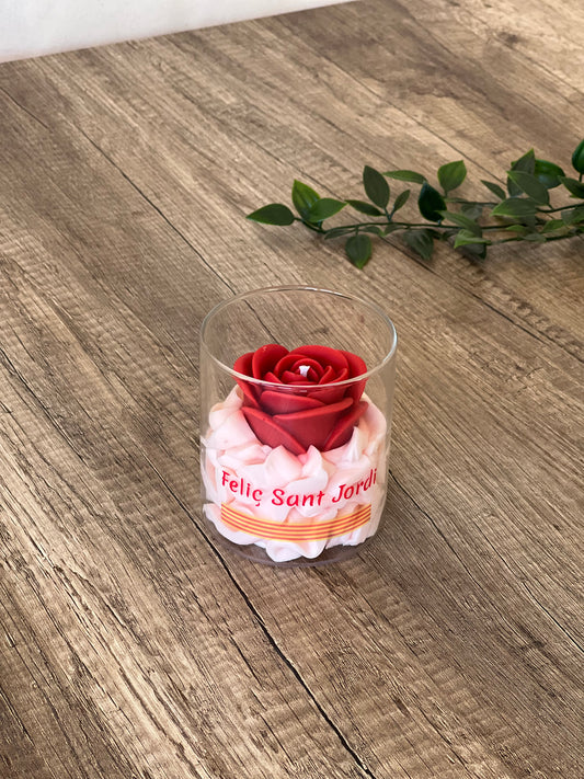 Magia Sant Jordi Grande